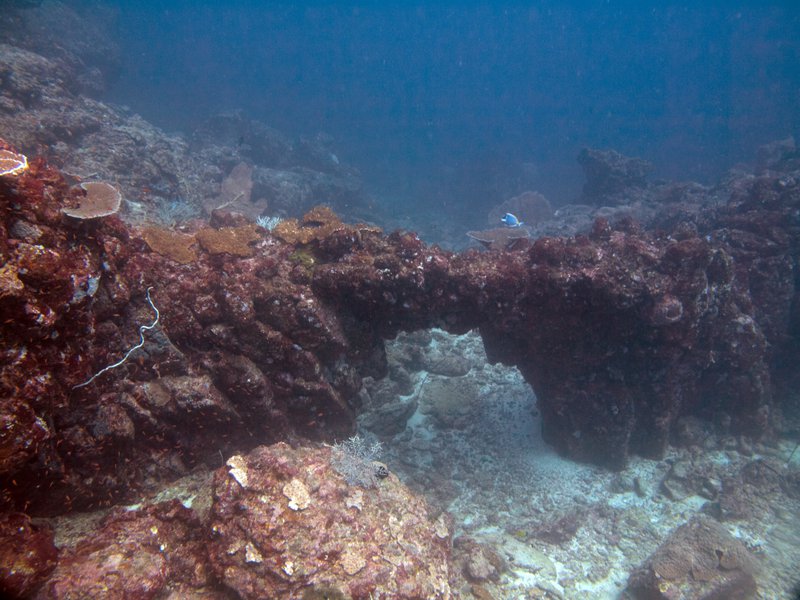 Underwater Scene, Canyons